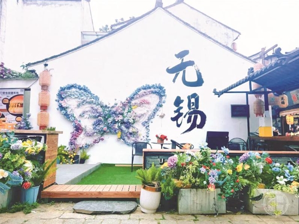 “植物+藝術(shù)涂鴉”成錫城熱門打卡地